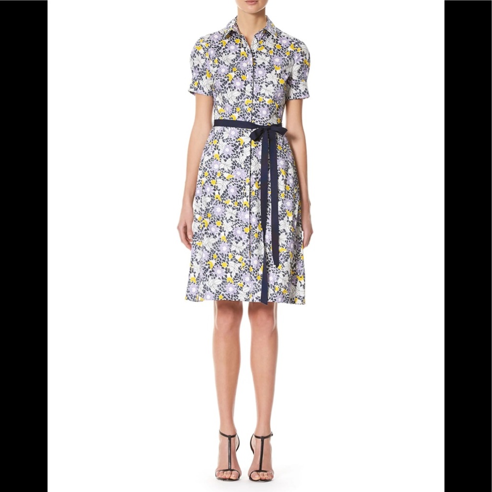❤️Carolina Herrera Daisy Print Short-Sleeve Shirtdress.